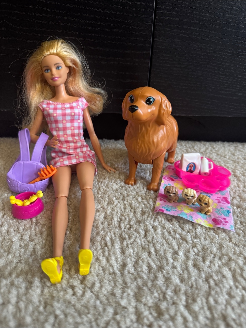 Barbie with Mama Dog Playset